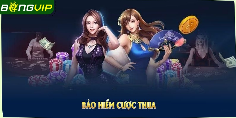 Bảo hiểm đơn cược tại Bongvip mang đến nhiều đặc quyền hấp dẫn