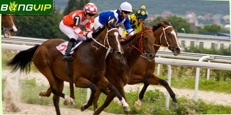 Nét đặc trưng nhất tạo nên cá cược đua ngựa Bongvip